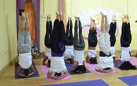 Some pictures of Yoga Teacher Training Course
